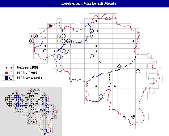 distribution of Leiobunum blackwalli Meade in Belgium