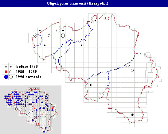 distribution of Oligolophus hansenii (Kraepelin) in Belgium