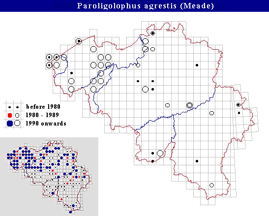 distribution of Paroligolophus agrestis (Meade) in Belgium