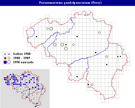 distribution of Paranemastoma quadripunctatum (Perty) in Belgium