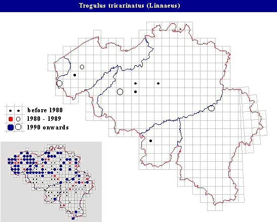 distribution of Trogulus tricarinatus (Linnaeus) in Belgium