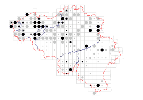 distribution of Leiobunum blackwalli in Belgium