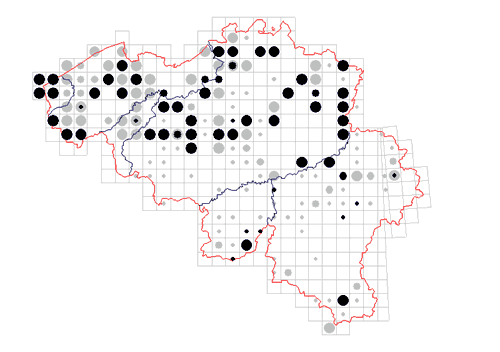 distribution of Nemastoma lugubre in Belgium