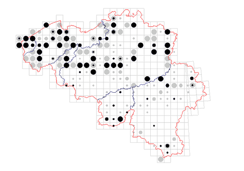 distribution of Oligolophus tridens in Belgium
