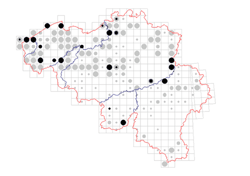 distribution of Opilio saxatilis in Belgium