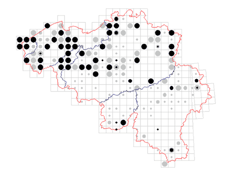 distribution of Paroligolophus agrestis in Belgium
